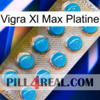 Vigra Xl Max Platinum new09